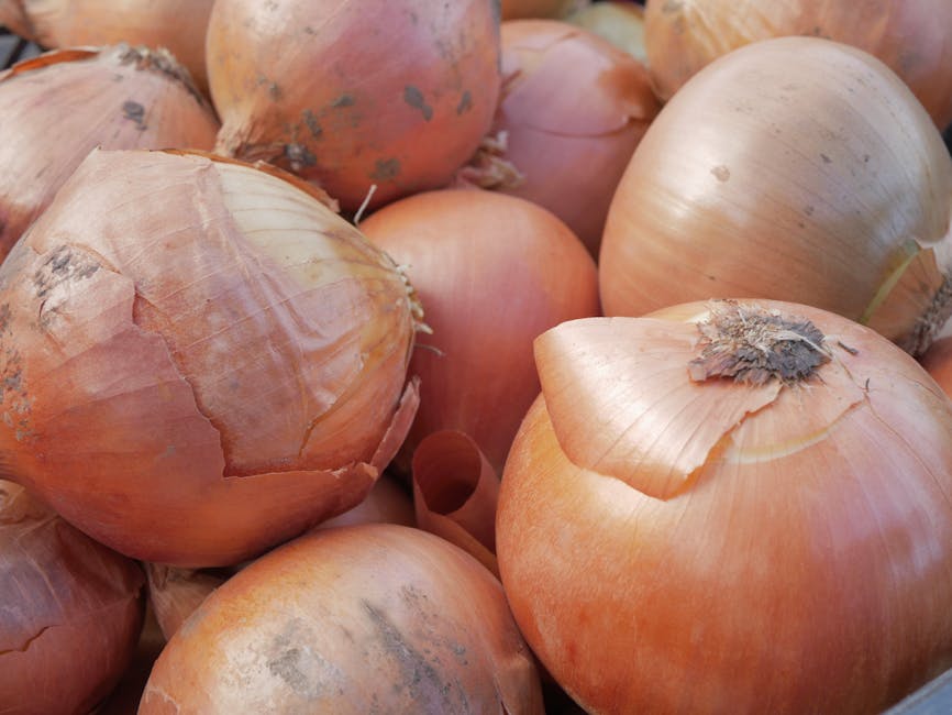 Курсы программирования и UI/UX дизайна